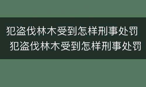 犯盗伐林木受到怎样刑事处罚 犯盗伐林木受到怎样刑事处罚才能判刑