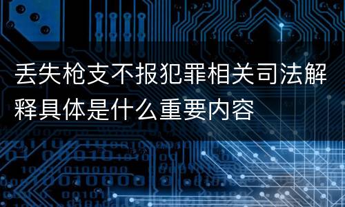 丢失枪支不报犯罪相关司法解释具体是什么重要内容
