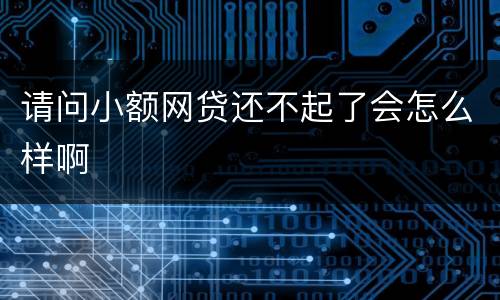 请问小额网贷还不起了会怎么样啊
