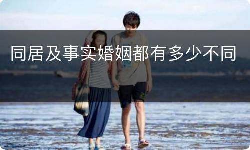 同居及事实婚姻都有多少不同