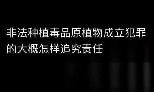 非法种植毒品原植物成立犯罪的大概怎样追究责任