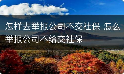 怎样去举报公司不交社保 怎么举报公司不给交社保