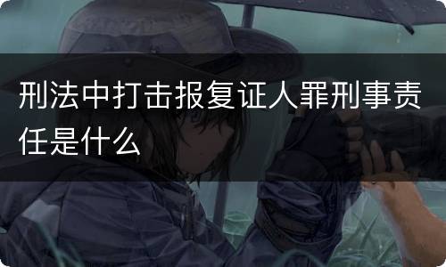 刑法中打击报复证人罪刑事责任是什么