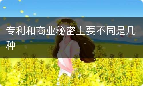 专利和商业秘密主要不同是几种
