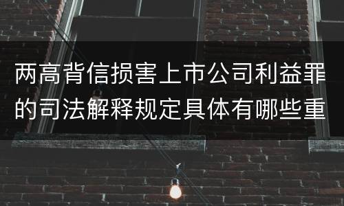 两高背信损害上市公司利益罪的司法解释规定具体有哪些重要内容