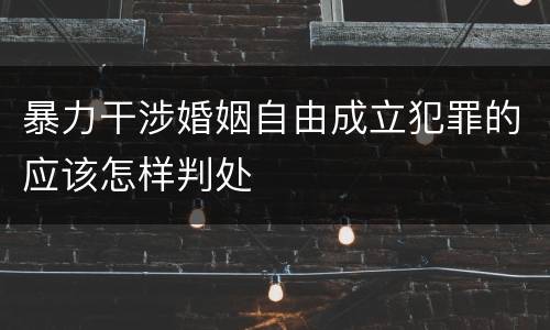 暴力干涉婚姻自由成立犯罪的应该怎样判处