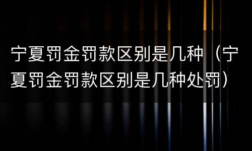 宁夏罚金罚款区别是几种（宁夏罚金罚款区别是几种处罚）
