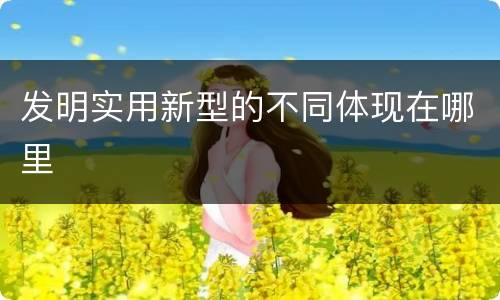 发明实用新型的不同体现在哪里