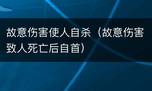 故意伤害使人自杀（故意伤害致人死亡后自首）