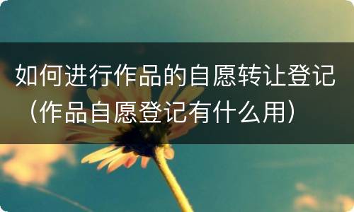 如何进行作品的自愿转让登记（作品自愿登记有什么用）
