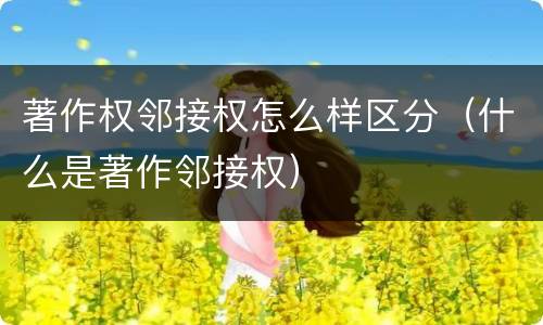 著作权邻接权怎么样区分（什么是著作邻接权）