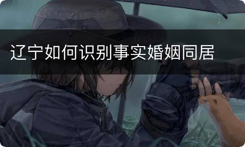 辽宁如何识别事实婚姻同居