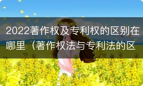 2022著作权及专利权的区别在哪里（著作权法与专利法的区别）