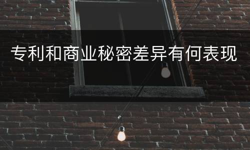 专利和商业秘密差异有何表现