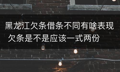 黑龙江欠条借条不同有啥表现 欠条是不是应该一式两份