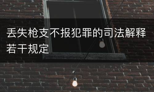 丢失枪支不报犯罪的司法解释若干规定