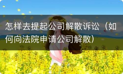 怎样去提起公司解散诉讼（如何向法院申请公司解散）