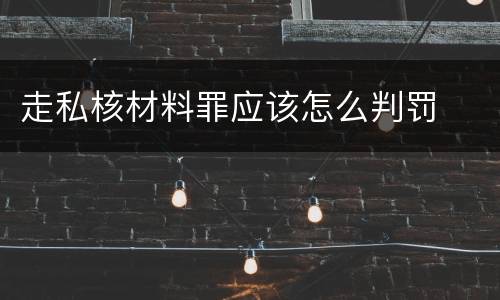 走私核材料罪应该怎么判罚
