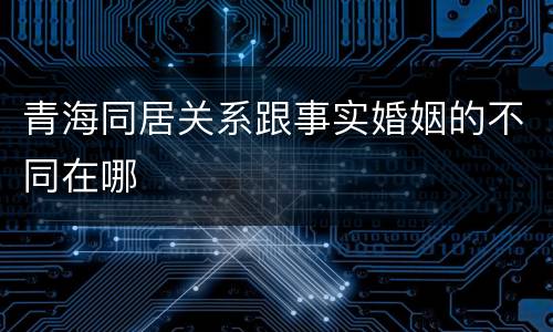青海同居关系跟事实婚姻的不同在哪