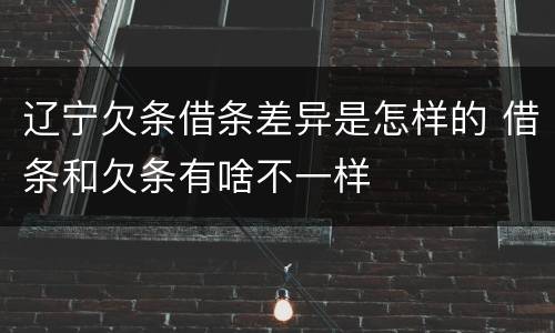 辽宁欠条借条差异是怎样的 借条和欠条有啥不一样