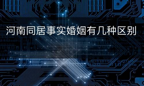河南同居事实婚姻有几种区别