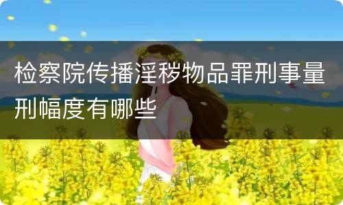 检察院传播淫秽物品罪刑事量刑幅度有哪些