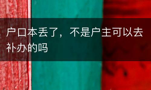 户口本丢了，不是户主可以去补办的吗
