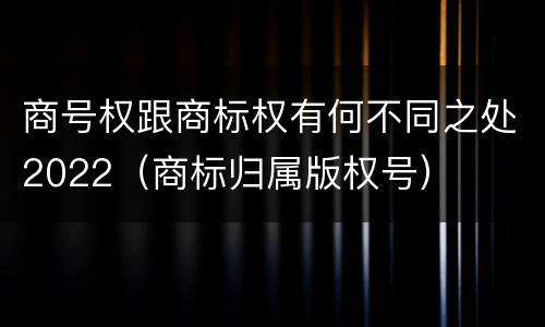 商号权跟商标权有何不同之处2022（商标归属版权号）