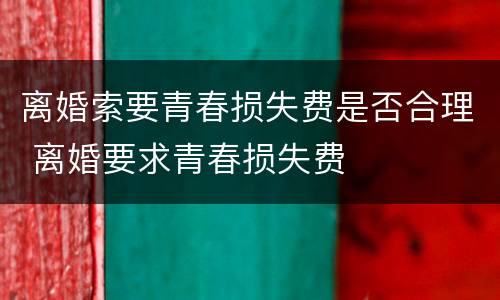 离婚索要青春损失费是否合理 离婚要求青春损失费
