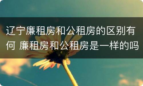 辽宁廉租房和公租房的区别有何 廉租房和公租房是一样的吗