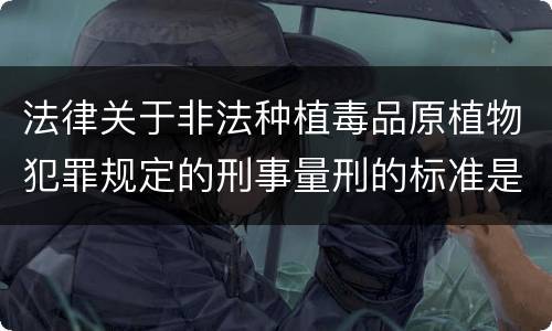 法律关于非法种植毒品原植物犯罪规定的刑事量刑的标准是什么