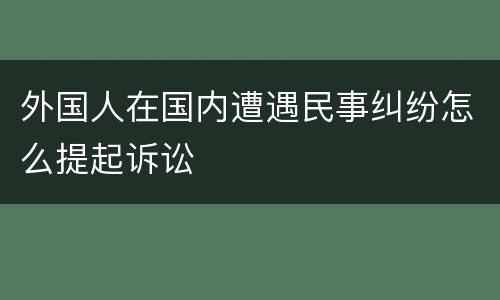 外国人在国内遭遇民事纠纷怎么提起诉讼