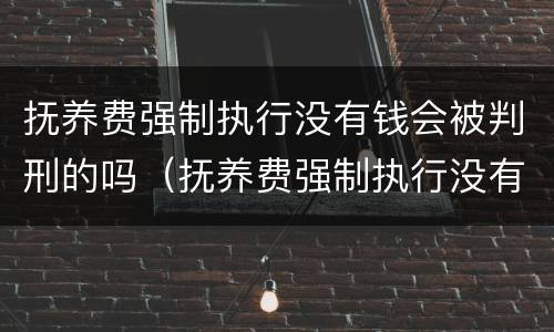 抚养费强制执行没有钱会被判刑的吗（抚养费强制执行没有钱后果）