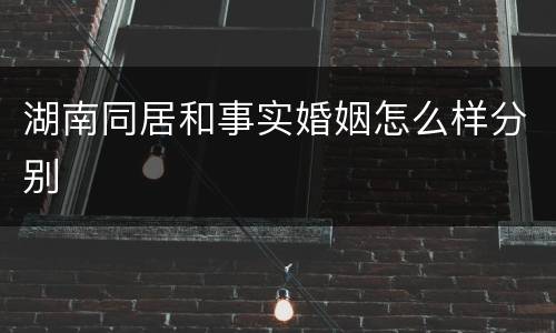 湖南同居和事实婚姻怎么样分别