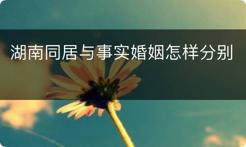 湖南同居与事实婚姻怎样分别