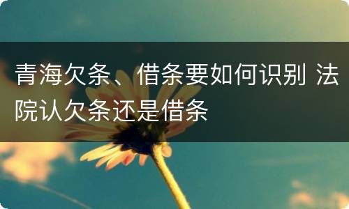 青海欠条、借条要如何识别 法院认欠条还是借条