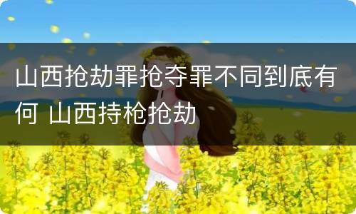山西抢劫罪抢夺罪不同到底有何 山西持枪抢劫