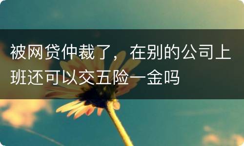 被网贷仲裁了，在别的公司上班还可以交五险一金吗