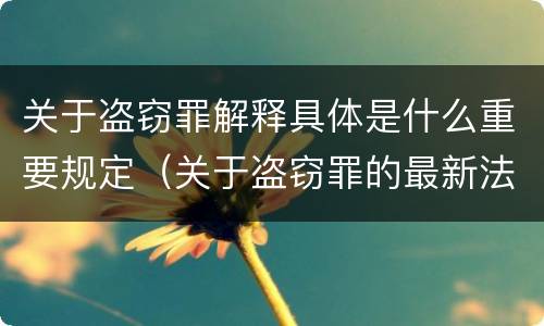 关于盗窃罪解释具体是什么重要规定（关于盗窃罪的最新法条）