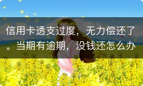 信用卡透支过度，无力偿还了。当期有逾期，没钱还怎么办才不会被银行起诉