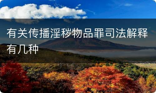 有关传播淫秽物品罪司法解释有几种