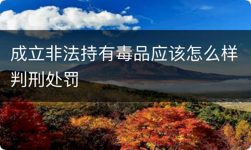 成立非法持有毒品应该怎么样判刑处罚