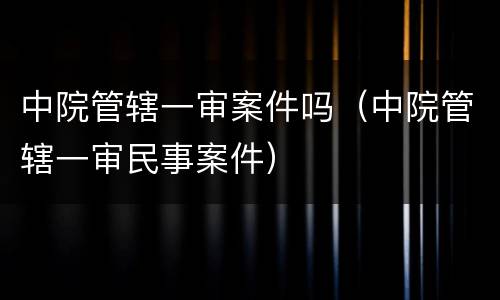 中院管辖一审案件吗（中院管辖一审民事案件）