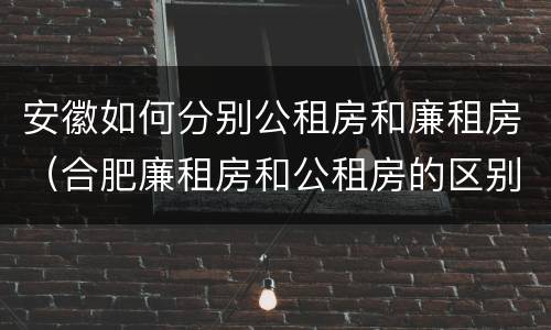 安徽如何分别公租房和廉租房（合肥廉租房和公租房的区别）