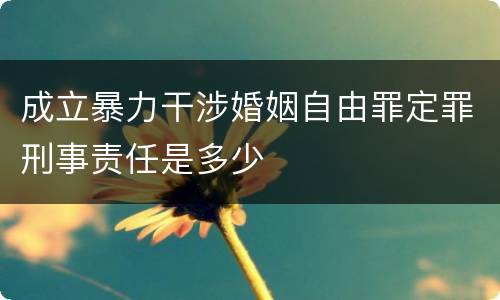 成立暴力干涉婚姻自由罪定罪刑事责任是多少