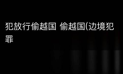 犯放行偷越国 偷越国(边境犯罪