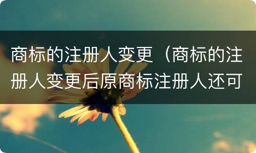 商标的注册人变更（商标的注册人变更后原商标注册人还可以追责吗）