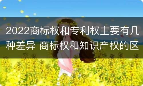 2022商标权和专利权主要有几种差异 商标权和知识产权的区别