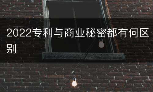 2022专利与商业秘密都有何区别