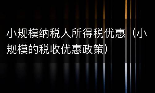 小规模纳税人所得税优惠（小规模的税收优惠政策）